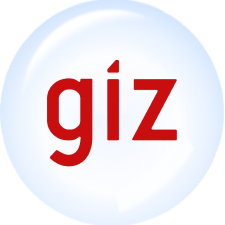Giz